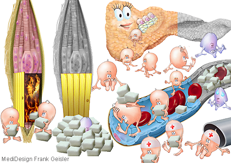 Illustration Cartoon für Kinder, Therapie Zuckerkrankheit Diabetes mellitus