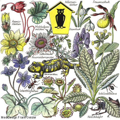 Colorierte Zeichnungen zu Biologie Fauna Flora Natur und Naturschutz