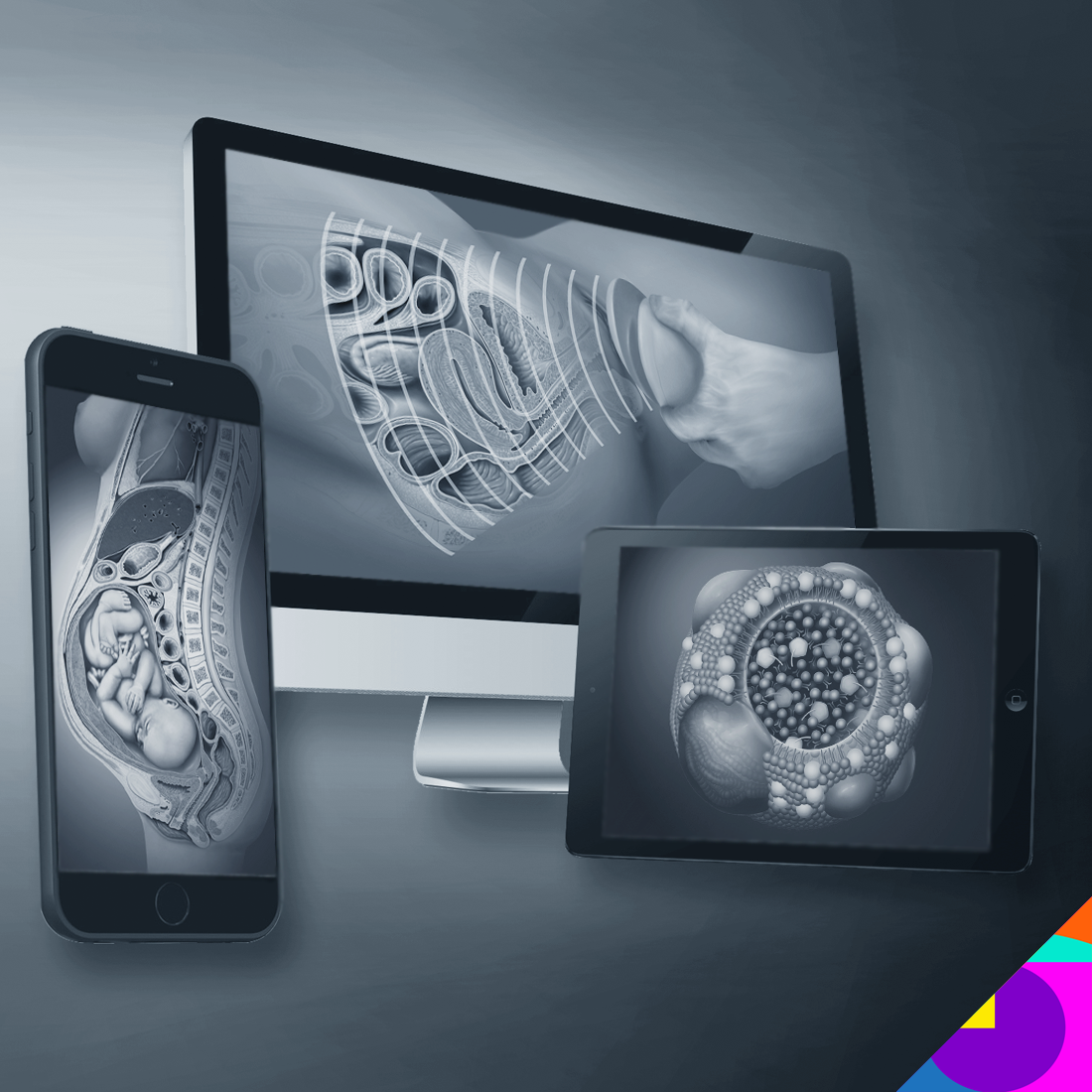 MediDesign Frank Geisler Bilder Medizin Grafik Medizingrafik