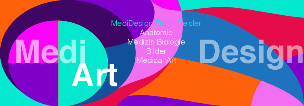 Impressum und AGB der Webseite von MediDesign Frank Geisler